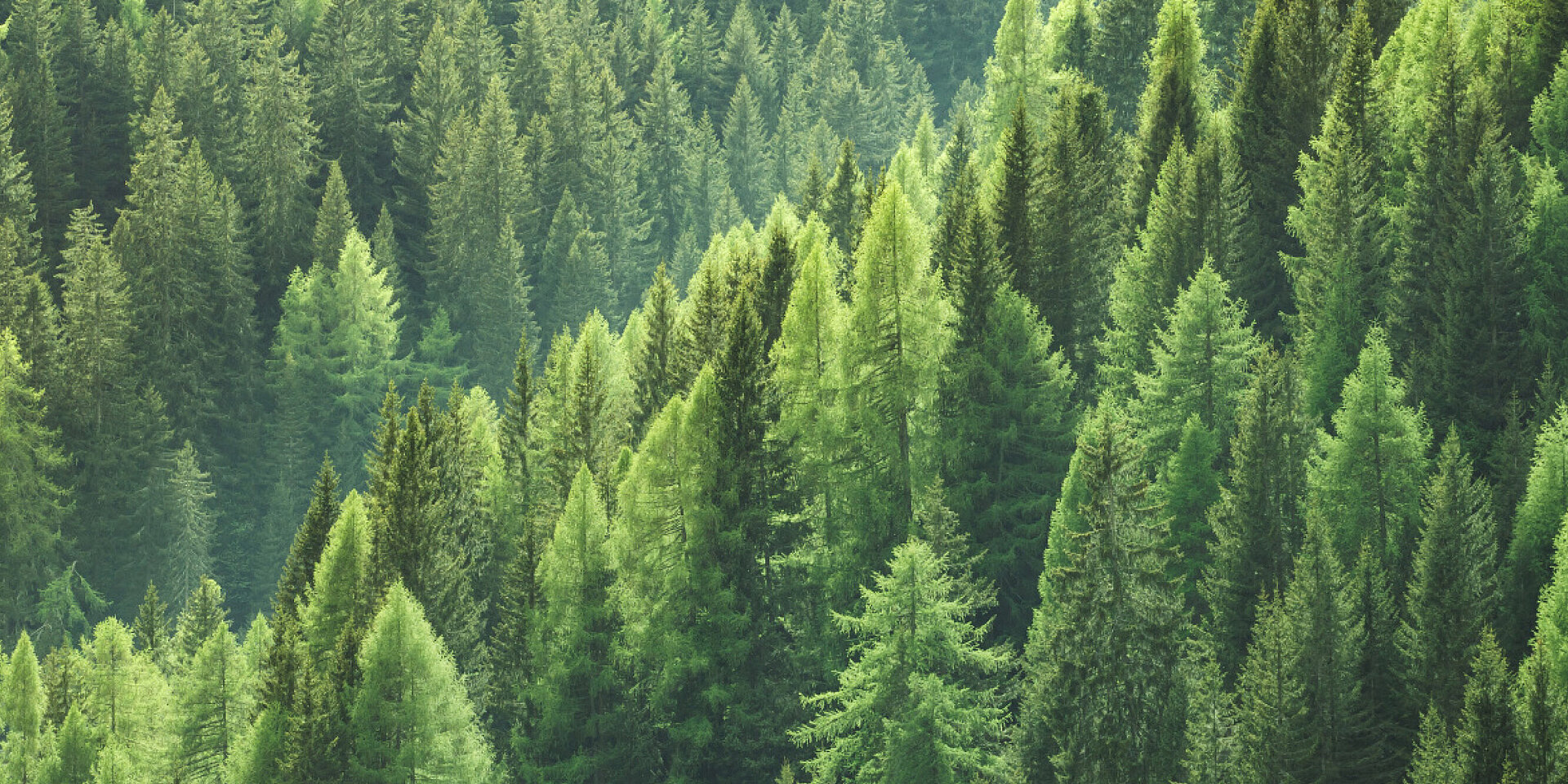 [Translate to Deutsch:] Beste Raumluftqualität mit Zehnder Lüftung