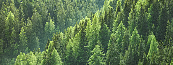 [Translate to Deutsch:] Beste Raumluftqualität mit Komfortlüftung