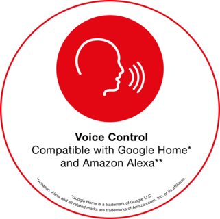 Voice Assistant